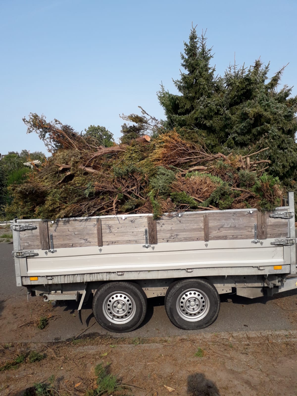 Gartenabfall auf Kipper